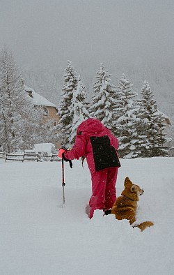 Neige
